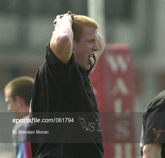 Young Munster RFC v Belfast Harlequins RFC - AIB All-Ireland League Division 1