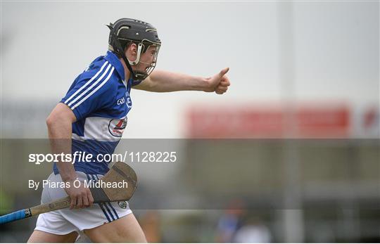 Laois v Wexford - Allianz Hurling League Division 1B Round 5