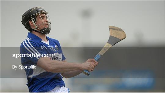 Laois v Wexford - Allianz Hurling League Division 1B Round 5