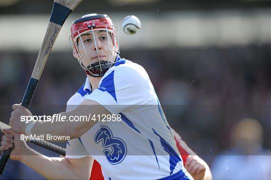 Waterford v Cork - Allianz NHL Division 1 Round 4