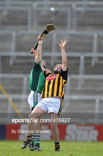 Limerick v Kilkenny - Allianz GAA Hurling National League Division 1 Round 6