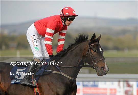Punchestown Racing Festival - Tuesday 20th April