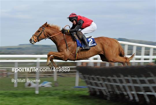 Punchestown Racing Festival - Wednesday 21st April
