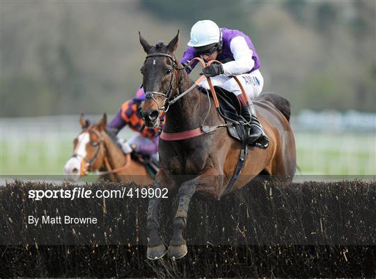 Punchestown Racing Festival - Wednesday 21st April