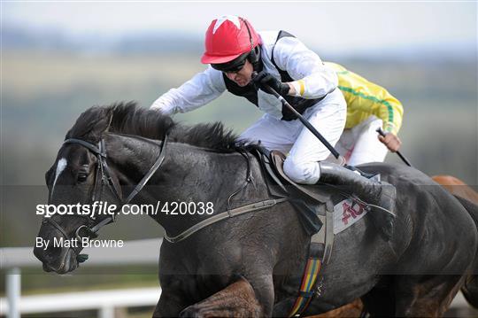 Punchestown Racing Festival - Thursday 22nd April