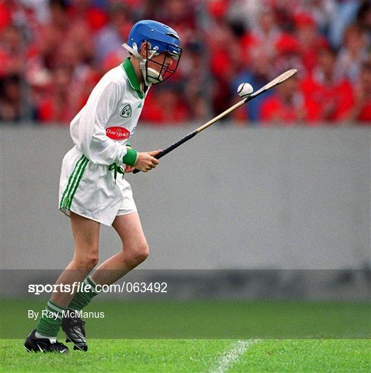 Cork v Limerick - All-Ireland Intermediate Hurling Championship