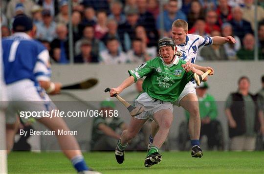 Limerick v Waterford - Guinness Munster Senior Hurling Championship Semi-Final