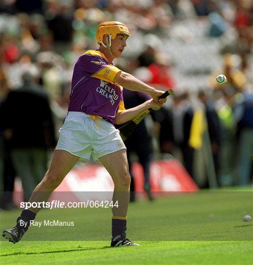 Wexford v Laois - Guinness Leinster Senior Hurling Championship Semi-Final