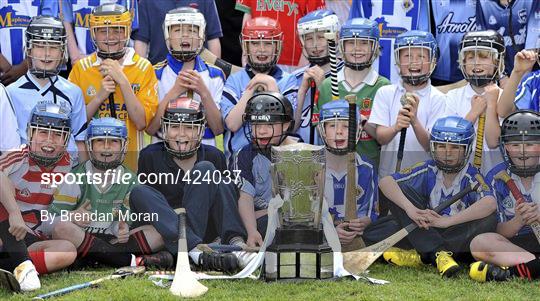 Launch of the 2010 GAA Hurling Championship