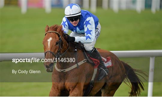 Punchestown Festival - Day 4