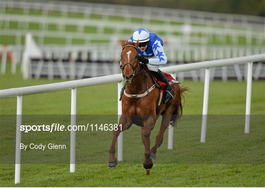 Punchestown Festival - Day 4