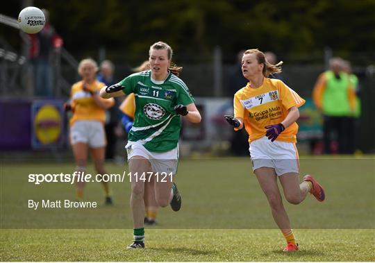 Antrim v Limerick - Lidl Ladies Football National League Division 4 Final