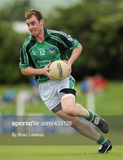 Waterford v Limerick - Munster GAA Football Senior Championship Semi-Final