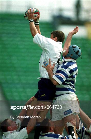 Dungannon v Cork Constitution - AIB All-Ireland League Final