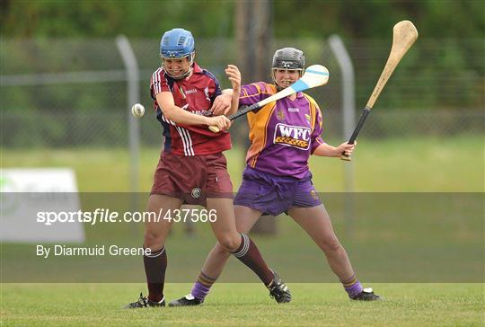 Galway v Wexford  - Gala All-Ireland Senior Camogie Championship