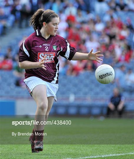 Half-time Go Games during Leinster GAA Football Semi-Finals