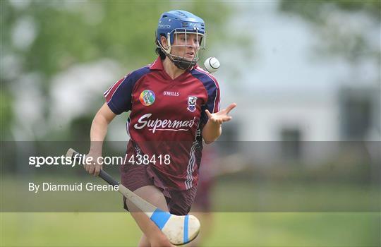 Galway v Wexford  - Gala All-Ireland Senior Camogie Championship