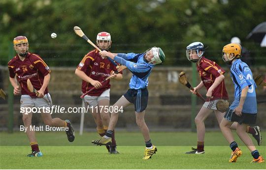 John West Féile na nGael