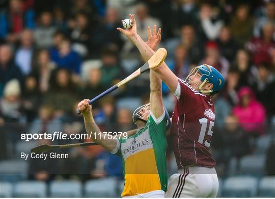 Galway v Offaly - Leinster GAA Hurling Senior Championship Semi-Final