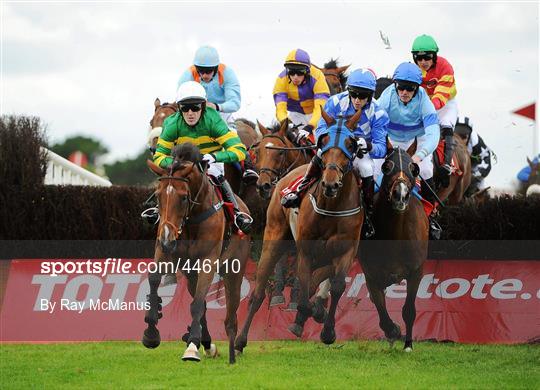 Galway Racing Festival 2010 - Wednesday