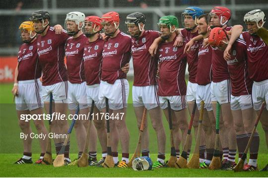 Galway v Offaly - Leinster GAA Hurling Senior Championship Semi-Final