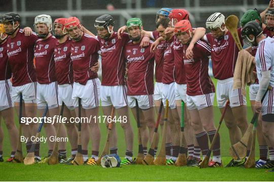 Galway v Offaly - Leinster GAA Hurling Senior Championship Semi-Final