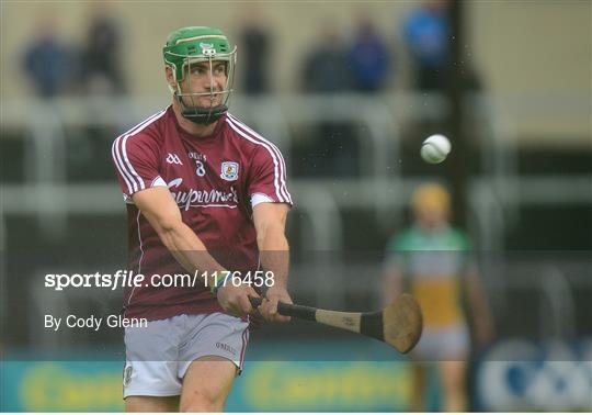 Galway v Offaly - Leinster GAA Hurling Senior Championship Semi-Final