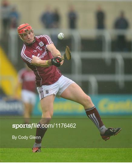 Galway v Offaly - Leinster GAA Hurling Senior Championship Semi-Final