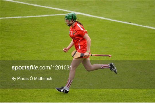 Cork v Wexford - Liberty Insurance Senior Camogie Championship Semi-Final