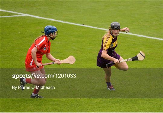 Cork v Wexford - Liberty Insurance Senior Camogie Championship Semi-Final