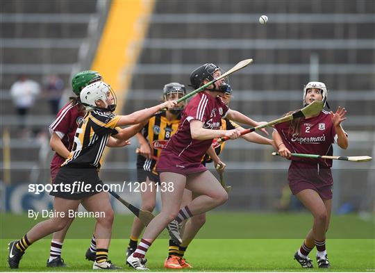 Kilkenny v Galway - Liberty Insurance Senior Camogie Championship Semi-Final