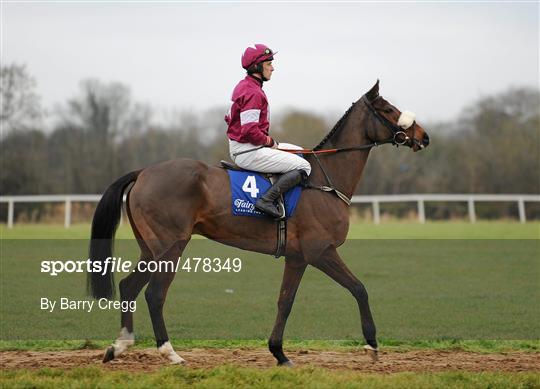 Horse Racing from Fairyhouse - Wednesday 15th December