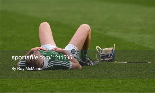 Limerick v Tipperary - Electric Ireland GAA Hurling All-Ireland Minor Championship Final