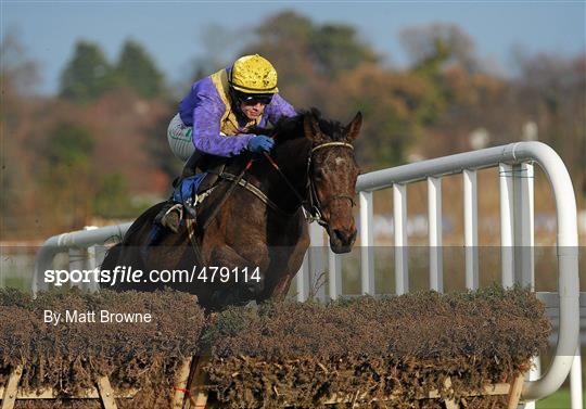 Leopardstown Christmas Racing Festival 2010 - Tuesday 28th December