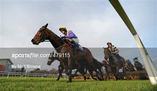 Leopardstown Christmas Racing Festival 2010 - Tuesday 28th December