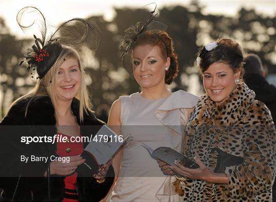 Leopardstown Christmas Racing Festival 2010 - Tuesday 28th December