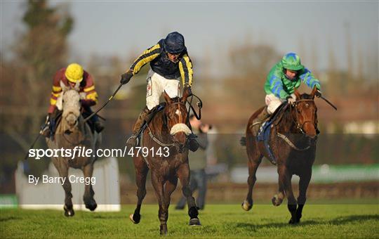 Leopardstown Christmas Racing Festival 2010 - Tuesday 28th December