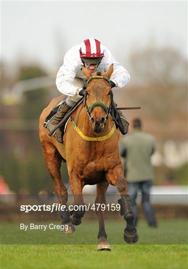 Leopardstown Christmas Racing Festival 2010 - Tuesday 28th December