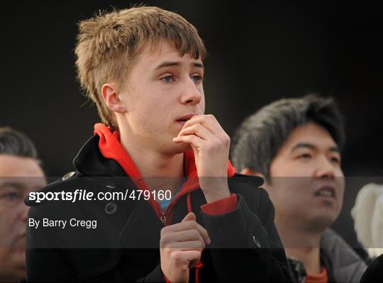 Leopardstown Christmas Racing Festival 2010 - Tuesday 28th December