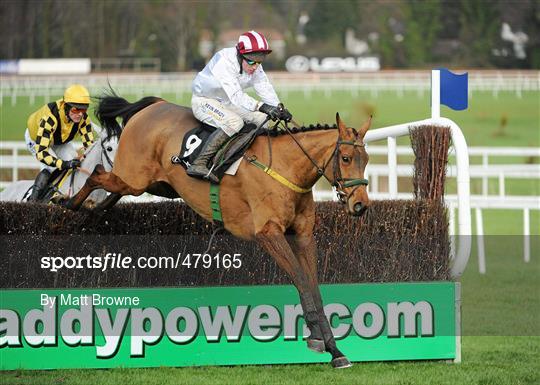 Leopardstown Christmas Racing Festival 2010 - Tuesday 28th December