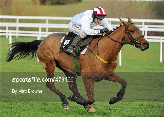 Leopardstown Christmas Racing Festival 2010 - Tuesday 28th December