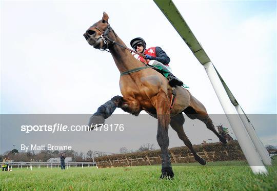 Leopardstown Christmas Racing Festival 2010 - Wednesday 29th December