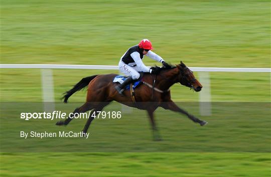 Leopardstown Christmas Racing Festival 2010 - Wednesday 29th December