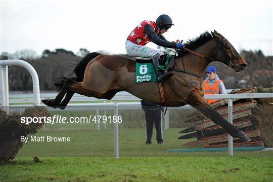 Leopardstown Christmas Racing Festival 2010 - Wednesday 29th December