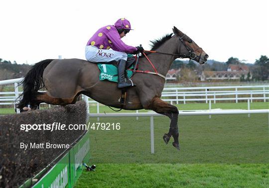 Leopardstown Christmas Racing Festival 2010 - Wednesday 29th December