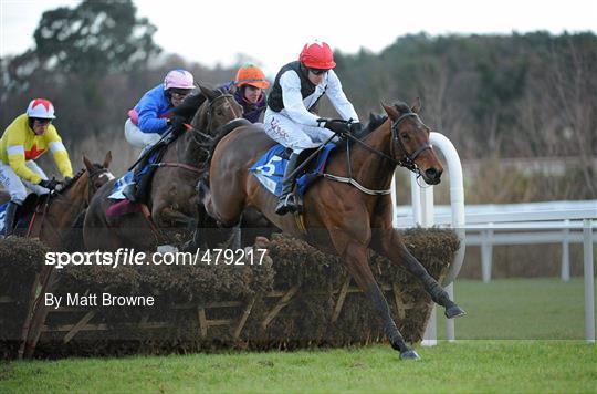 Leopardstown Christmas Racing Festival 2010 - Wednesday 29th December