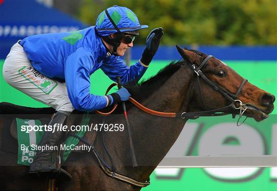 Leopardstown Christmas Racing Festival 2010 - Wednesday 29th December