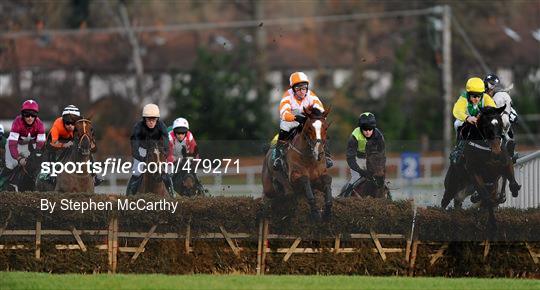 Leopardstown Christmas Racing Festival 2010 - Wednesday 29th December