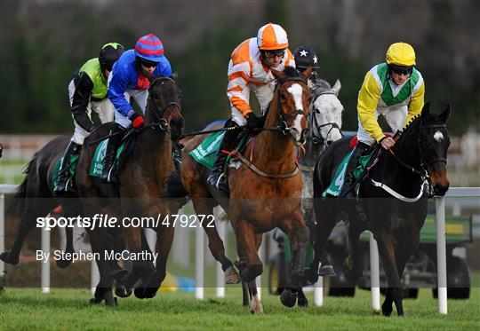 Leopardstown Christmas Racing Festival 2010 - Wednesday 29th December