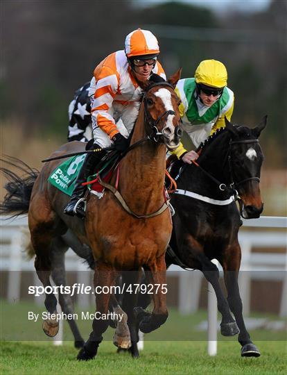 Leopardstown Christmas Racing Festival 2010 - Wednesday 29th December